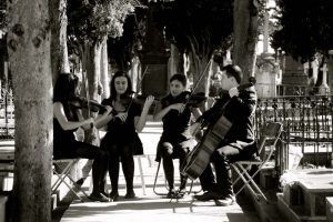 violin-y-chello